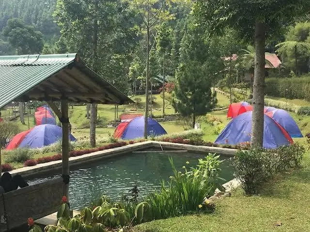 Wong Deso Camping Seminyak 0*,