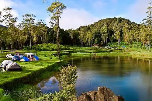 Wong Deso Camping Seminyak Tente de luxe