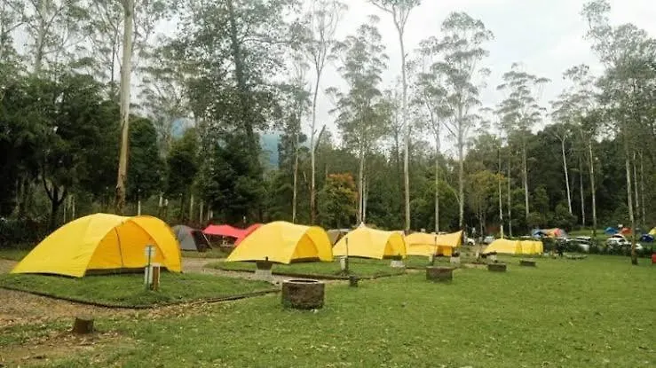 Wong Deso Camping Seminyak Indonésie