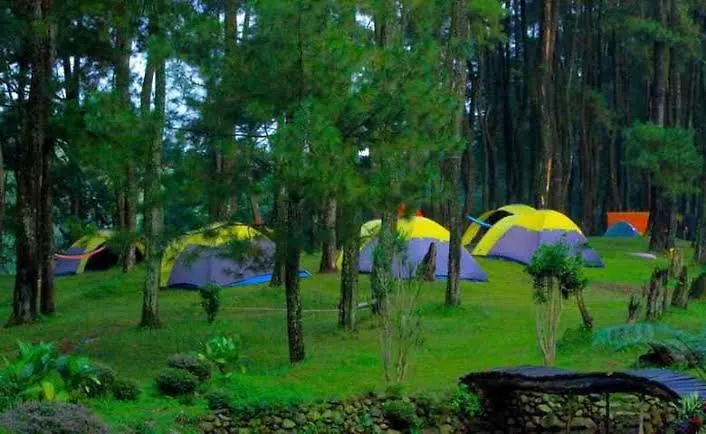 Wong Deso Camping Seminyak