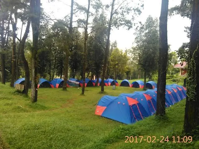 Tente de luxe Wong Deso Camping Seminyak