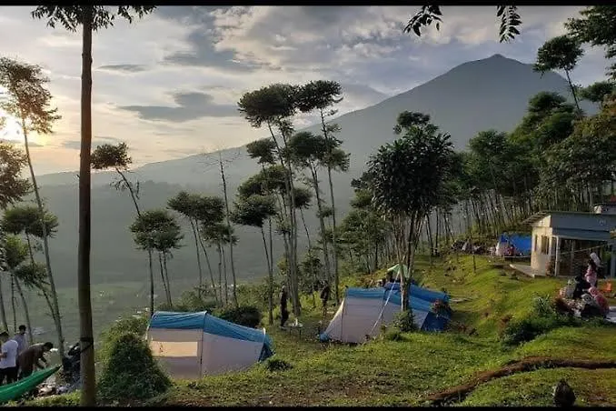 Wong Deso Camping Seminyak 0*,