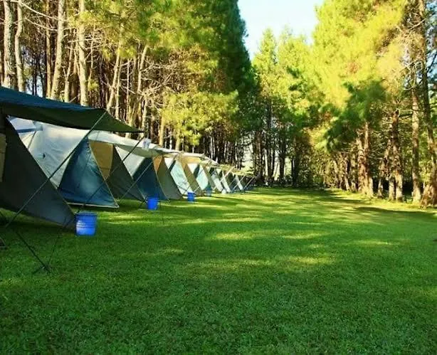 Luksustelt Wong Deso Camping Seminyak Indonesien